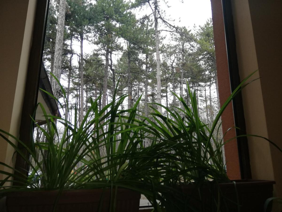 Hotel Les Razgrad المظهر الخارجي الصورة